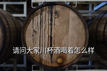 請(qǐng)問(wèn)大家川杯酒喝著怎么樣