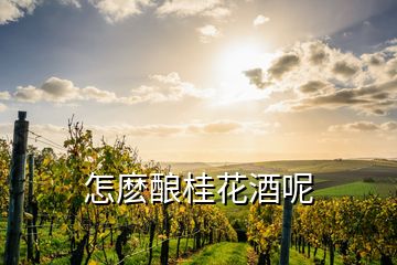 怎麼釀桂花酒呢