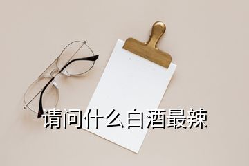 請(qǐng)問什么白酒最辣