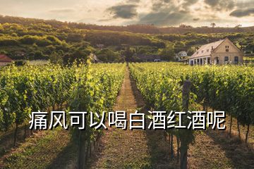 痛風(fēng)可以喝白酒紅酒呢