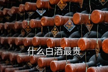 什么白酒最貴