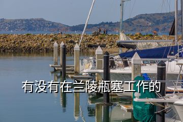 有沒(méi)有在蘭陵瓶塞工作的