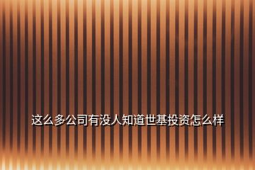 這么多公司有沒人知道世基投資怎么樣