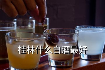 桂林什么白酒最好