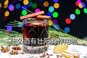 什么酒有壯陽的作用呢