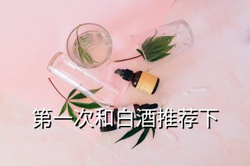 第一次和白酒推薦下