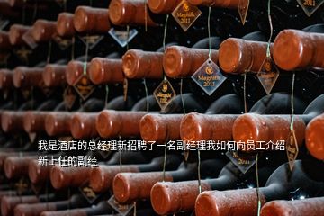 我是酒店的總經(jīng)理新招聘了一名副經(jīng)理我如何向員工介紹新上任的副經(jīng)