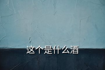 這個(gè)是什么酒