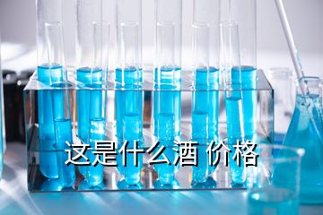 這是什么酒 價格