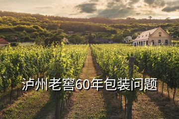 瀘州老窖60年包裝問題