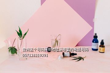 查詢這個號碼具體地址是哪里的電話號碼057128319291