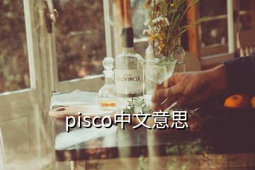 pisco中文意思