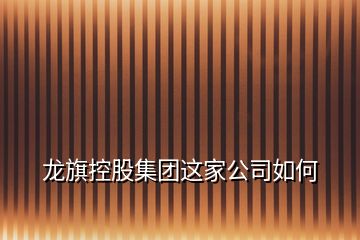 龍旗控股集團這家公司如何