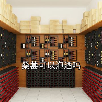 桑葚可以泡酒嗎