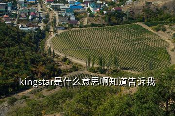 kingstar是什么意思啊知道告訴我