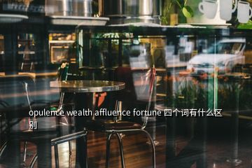 opulence wealth affluence fortune 四個詞有什么區(qū)別