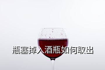 瓶塞掉入酒瓶如何取出