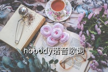 nobody諧音歌詞