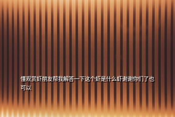 懂觀賞蝦朋友幫我解答一下這個蝦是什么蝦謝謝你們了也 可以