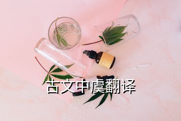 古文中虞翻譯