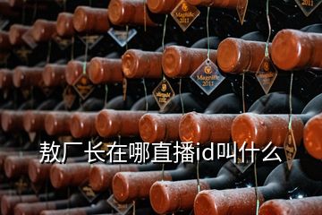 敖廠長(zhǎng)在哪直播id叫什么