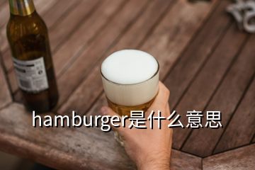 hamburger是什么意思