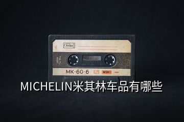 MICHELIN米其林車(chē)品有哪些