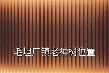 毛坦廠鎮(zhèn)老神樹位置