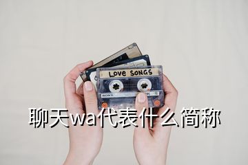 聊天wa代表什么簡稱