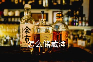 怎么儲藏酒