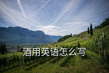 酒用英語(yǔ)怎么寫