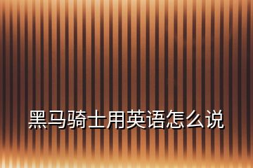 黑馬騎士用英語怎么說