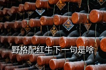 野格配紅牛下一句是啥