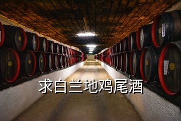 求白蘭地雞尾酒