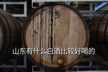 山東有什么白酒比較好喝的