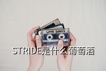 STRIDE是什么葡萄酒