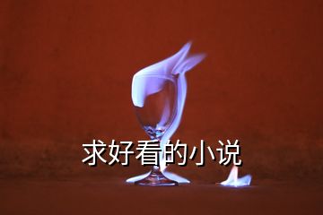 求好看的小說(shuō)