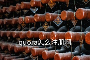 quora怎么注冊啊