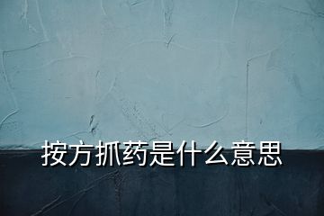 按方抓藥是什么意思