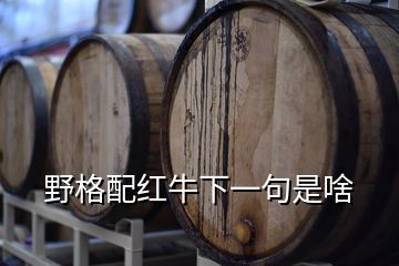 野格配紅牛下一句是啥