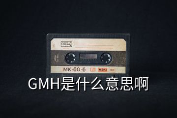 GMH是什么意思啊