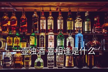 一壺濁酒 喜相逢是什么