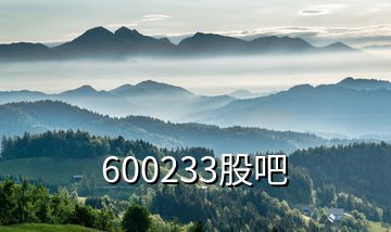 600233股吧