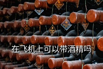 在飛機上可以帶酒精嗎