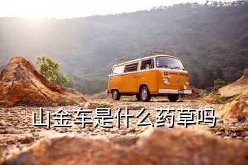 山金車(chē)是什么藥草嗎