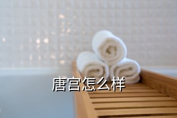 唐宮怎么樣