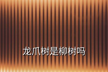 龍爪樹(shù)是柳樹(shù)嗎