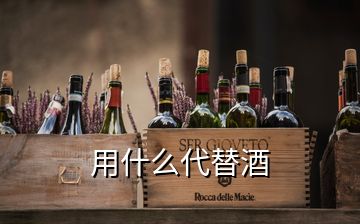 用什么代替酒