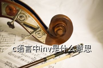 c語言中inv是什么意思