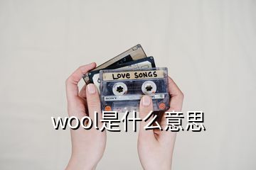 wool是什么意思